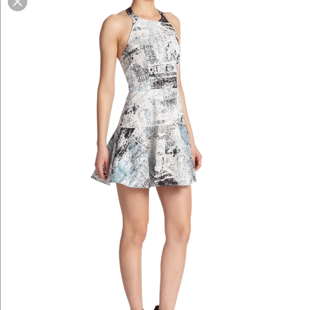 Parker - Leona fit and flare dress